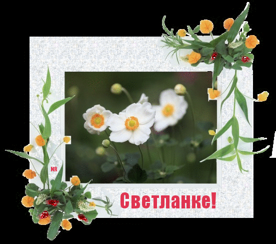 Тосты поздравления для светланы Тосты поздравления для светланы