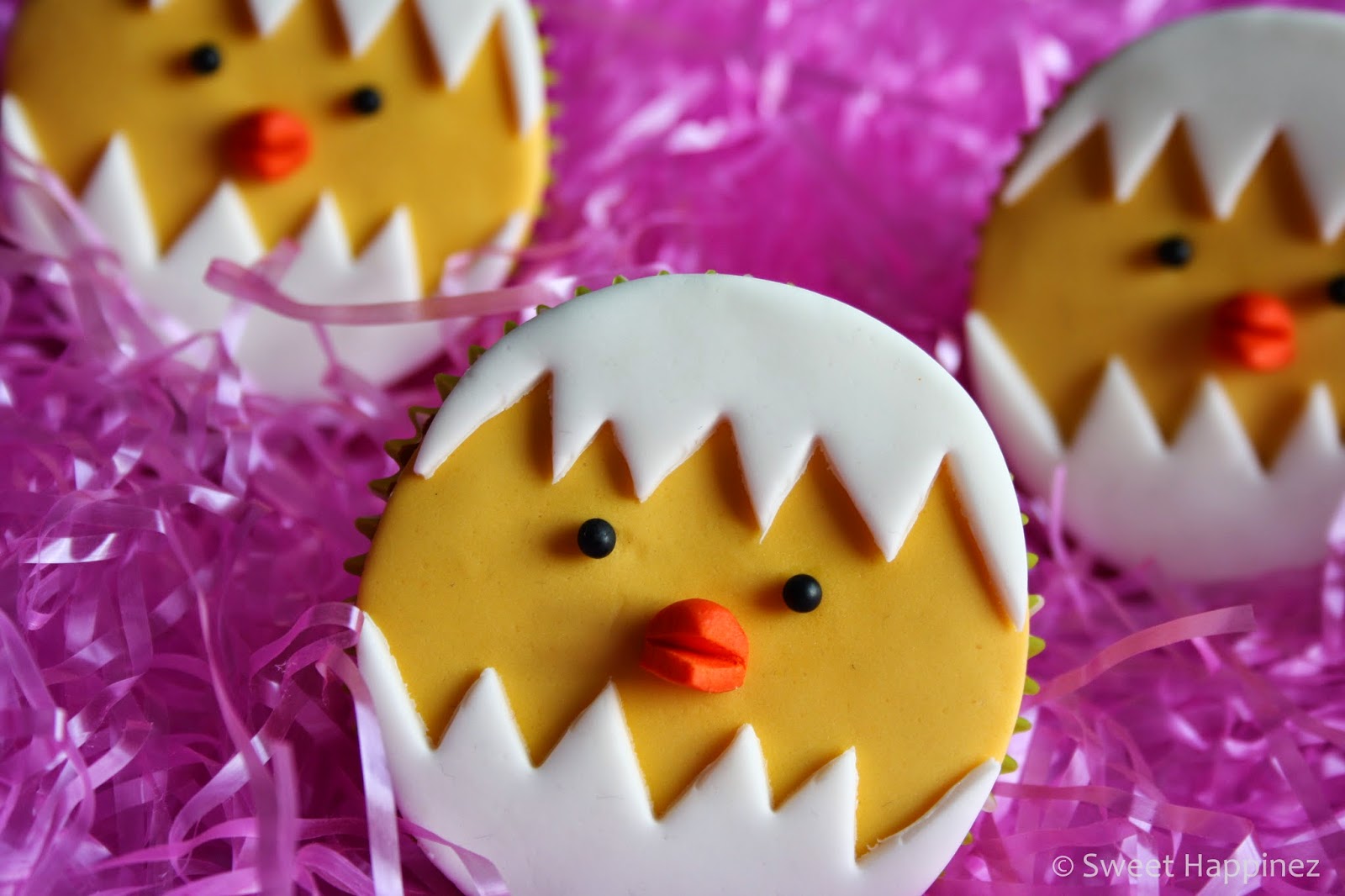 http://4.bp.blogspot.com/-Sutqyto1t2M/VPyCryLn3KI/AAAAAAAAEkw/-mUzTOvCudM/s1600/Kuiken%2BCupcakes%2B2.JPG