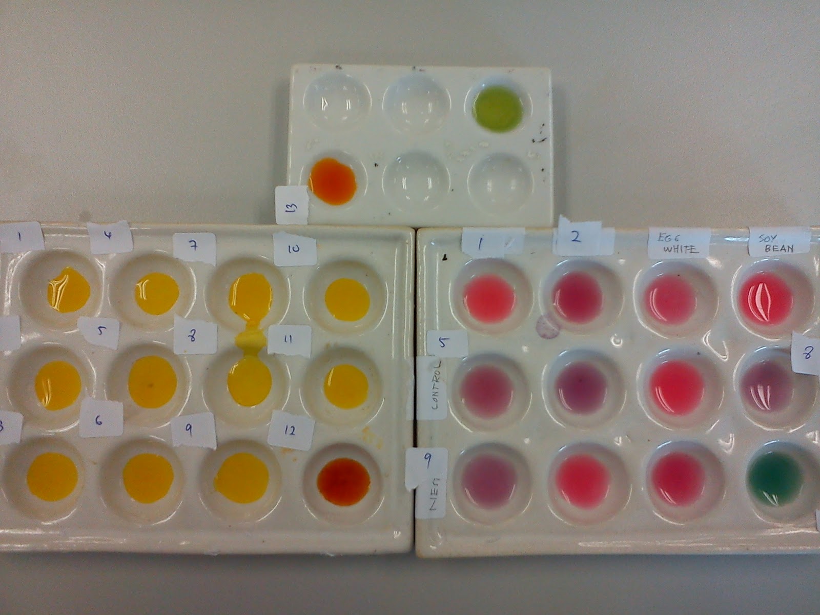 Natural pH Indicator Biochemistry