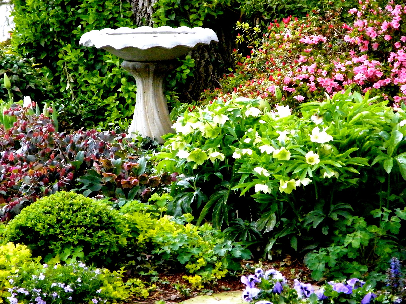 P O T A G E R: Home Depot Garden Club Event