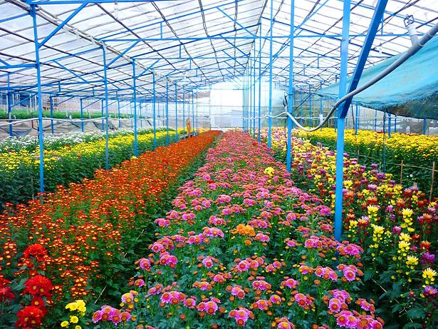 Da Lat Central Highlands Vietnam With Vietjet Air City Of Love
