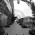 365天,再见。Day 4 - let it be