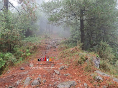 Somewhere in between the trek Somewhere in between the trek
