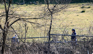 A new fence is being built over there A new fence is being built over there