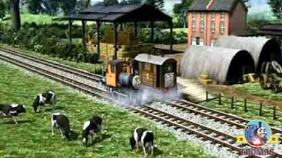 Toby train Bash visit farmer McColl's farm cow field a nice quiet place to rest aching axle wheels