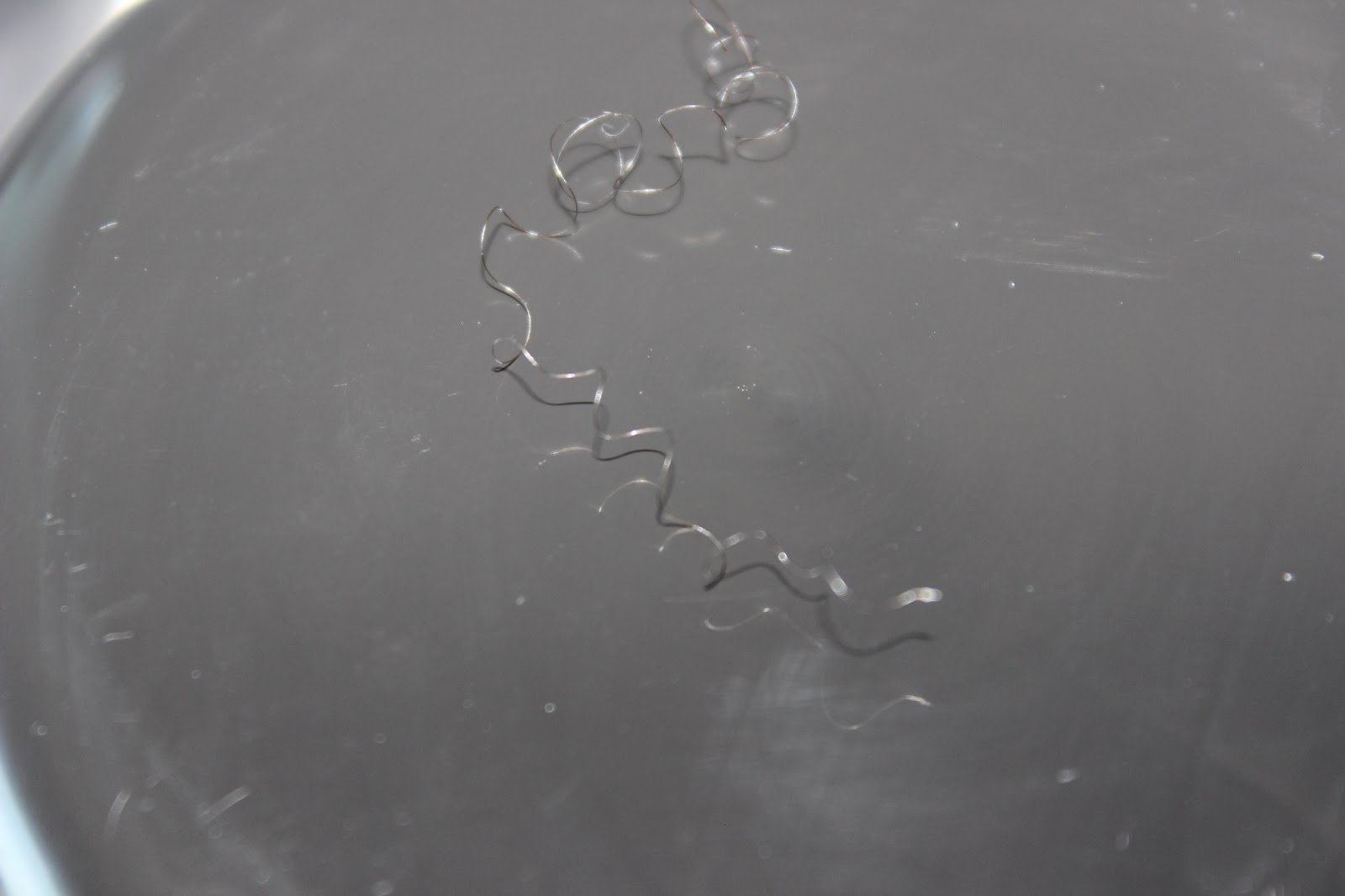 Discoveringnatural Chicoro S Grow It Dry Detangling