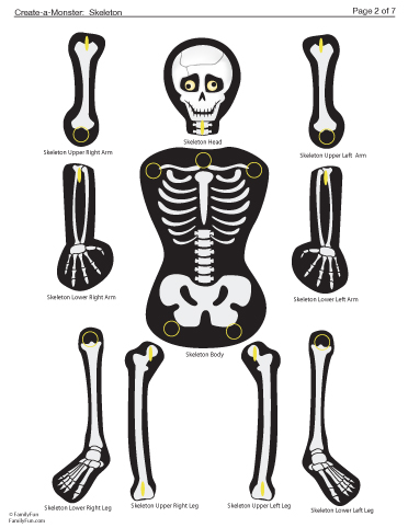 It's just a picture of Simplicity Printable Skeleton Bones It is a picture of Simplicity Printable Skeleton Bones