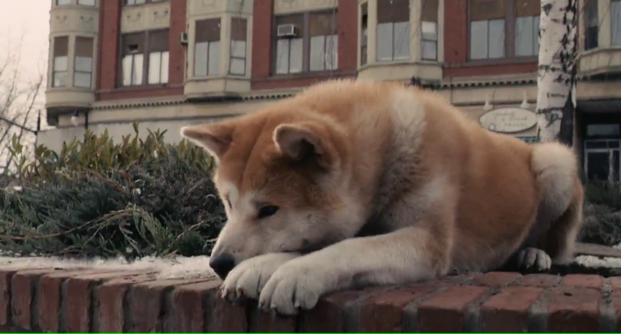 Siempre a tu Lado Hachiko (2009) La Cueva de Gabriquel