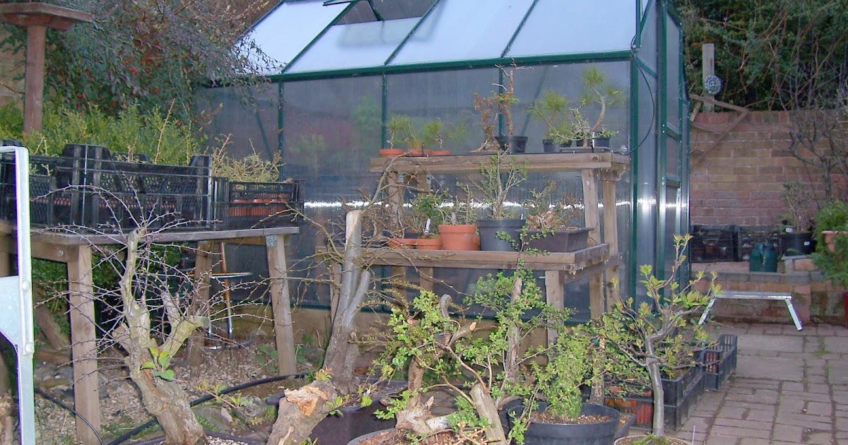 MiKo Bonsai Greenhouse finally cleared and cleaned