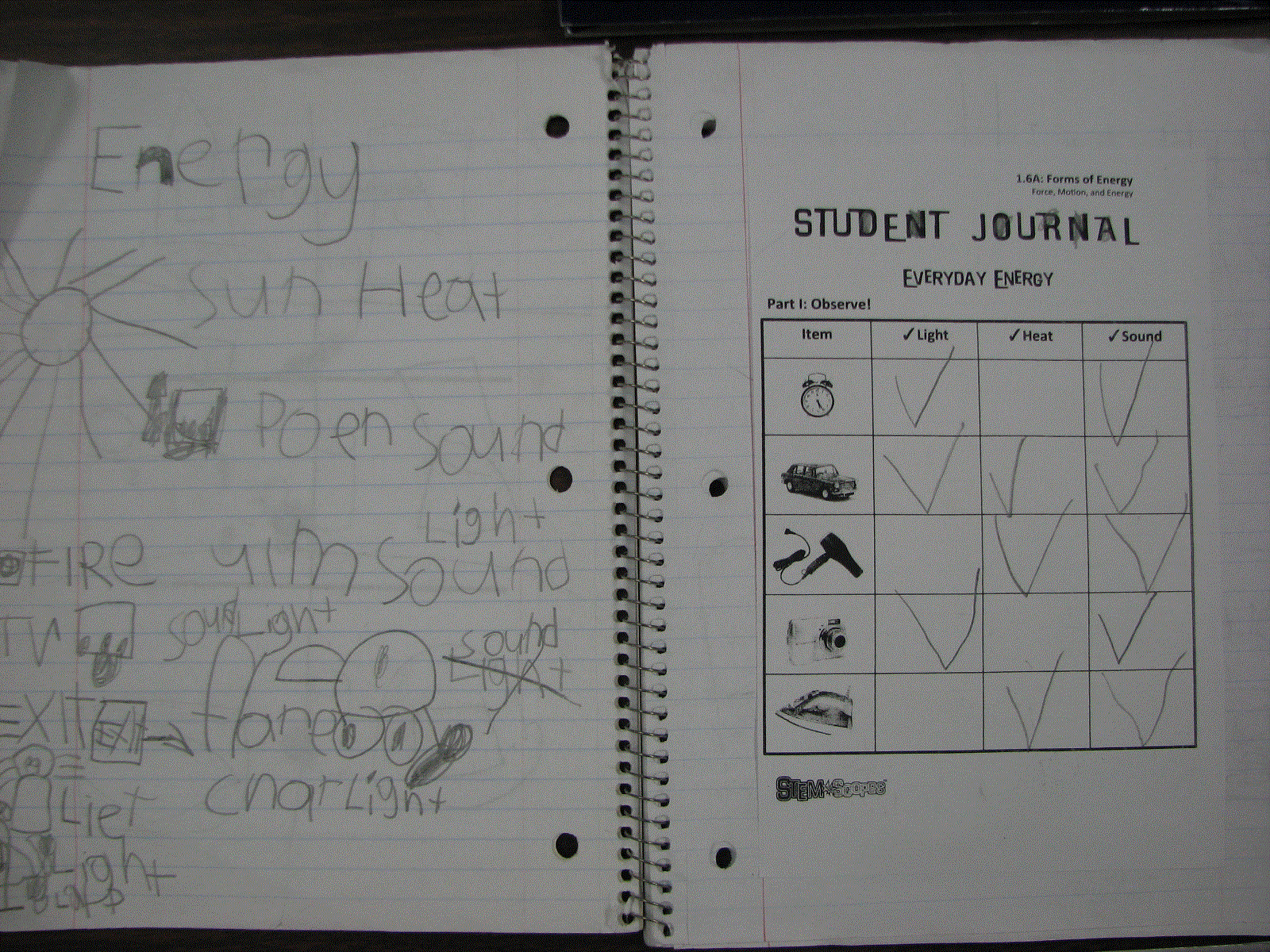 First Grade Randomness: Large Class Science Journal / Student Learning