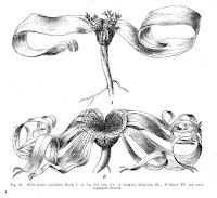 Fuente: http://41.media.tumblr.com/tumblr_m13ndauyiw1r65fqbo2_1280.png