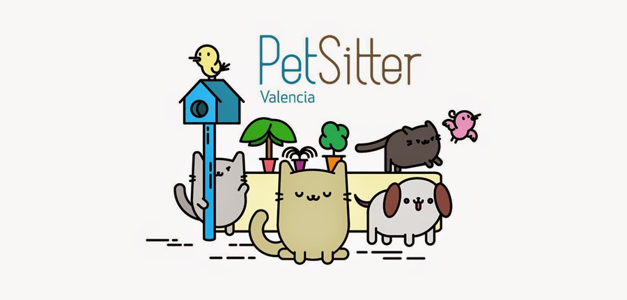 Servicio de Cuidado a Domicilio de Gatos en PetSitter Valencia