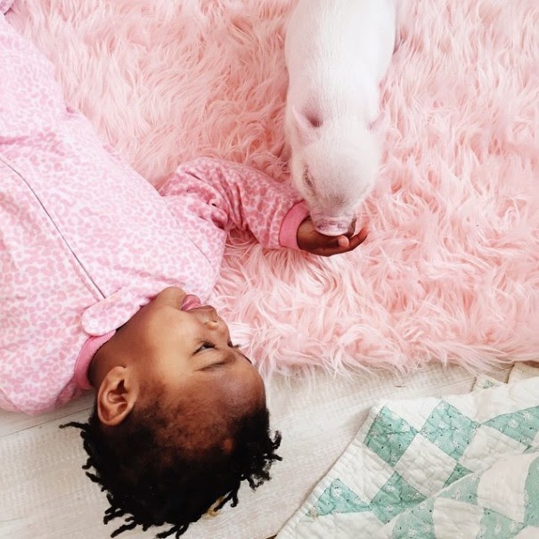 Lindsey writes, “God has blessed us so much through adoption and it is now my passion to share adoption love with others!” - The Heartmelting Friendship Of A 2-Year-Old Girl And Her Piglet Lindsey writes, “God has blessed us so much through adoption and it is now my passion to share adoption love with others!” - The Heartmelting Friendship Of A 2-Year-Old Girl And Her Piglet