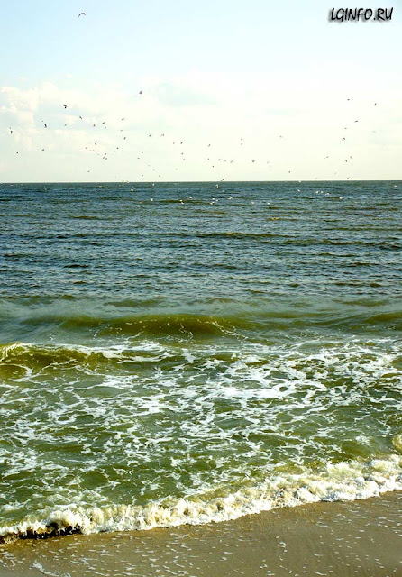 Азовское море