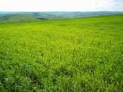 BUY LAND ROMANIA