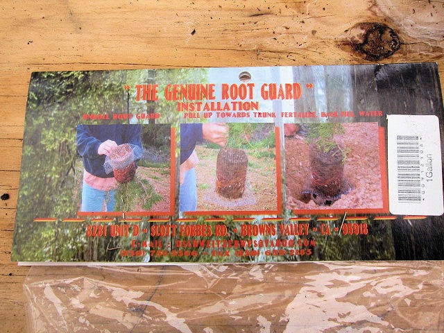 download country mouse