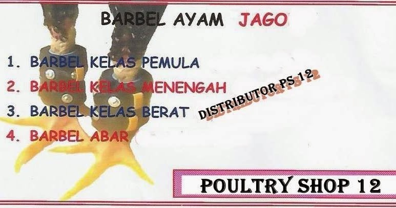 BARBEL KELAS MENENGAH - POULTRYSHOP 12 DISTRIBUTOR