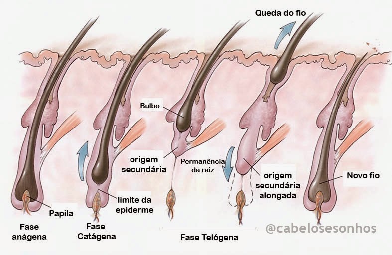 Comprar as pastilhas que levantam uma potência de homens