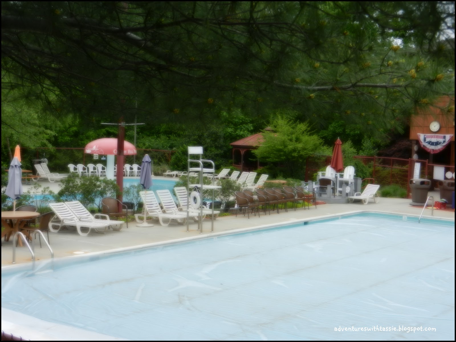 Tassie's Campground Reviews Cherry Hill RV Park College Park