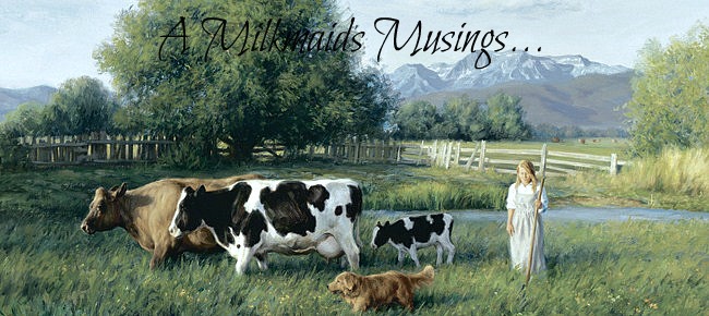 A Milkmaid's Musing