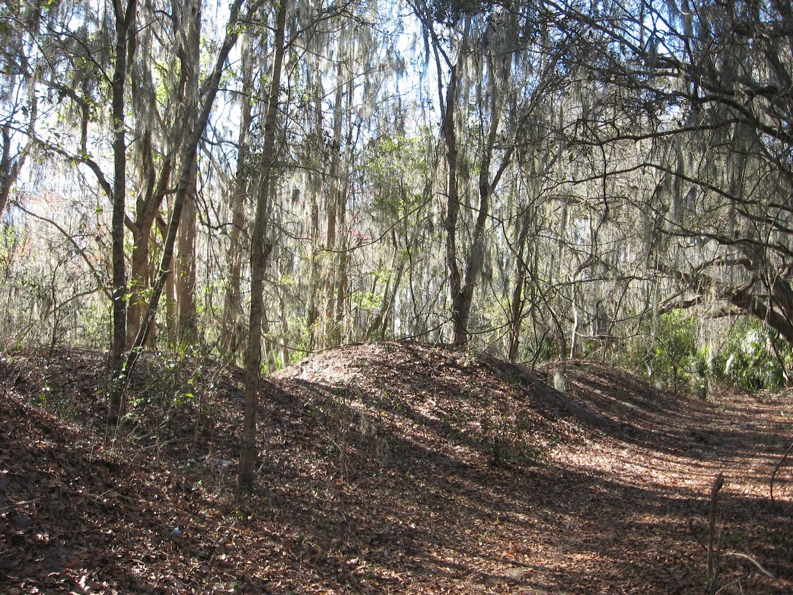 Thonotosassa Florida Baker Creek Boat Ramp on Lake Thonotosassa