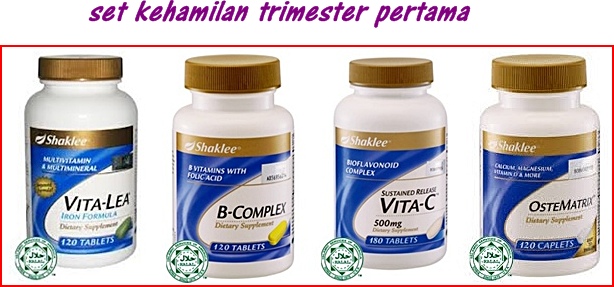 Image result for set mengandung shaklee trimester 1