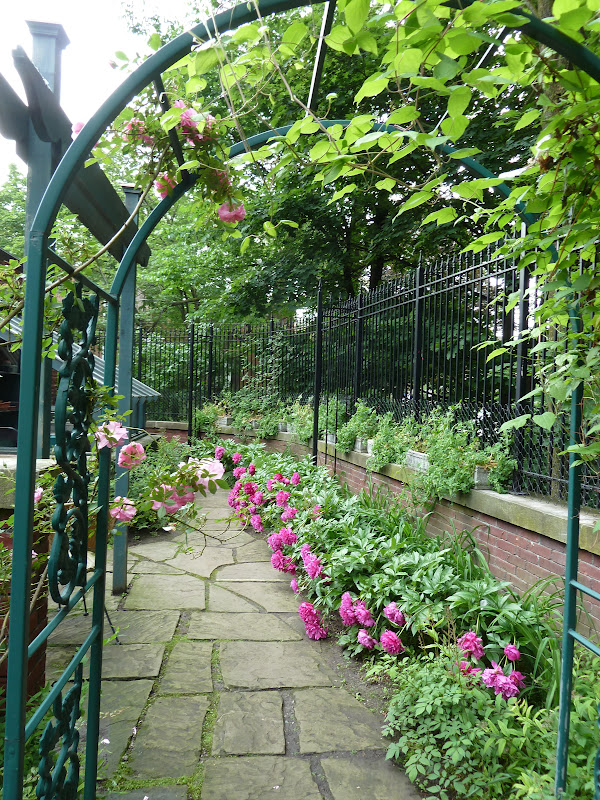 Barbara's Garden Chronicles Rosedale Garden Tour