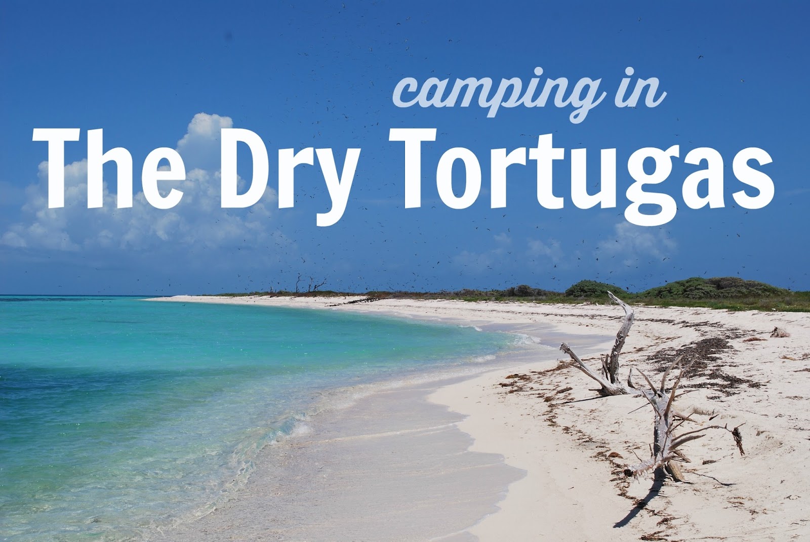 mamascout {travel} camping at the Dry Tortugas