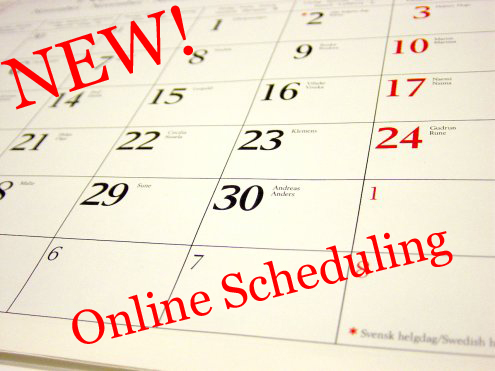New Online Scheduling