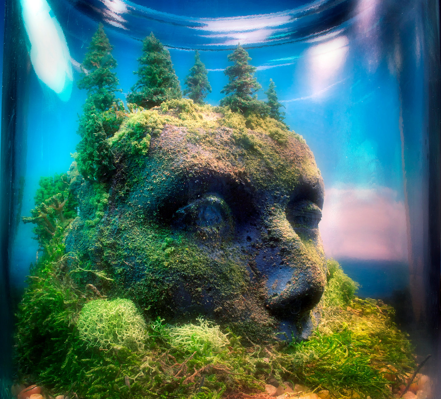 Simply Creative Fantasy Terrariums by Tony Larson