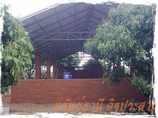 อิฐประสาน