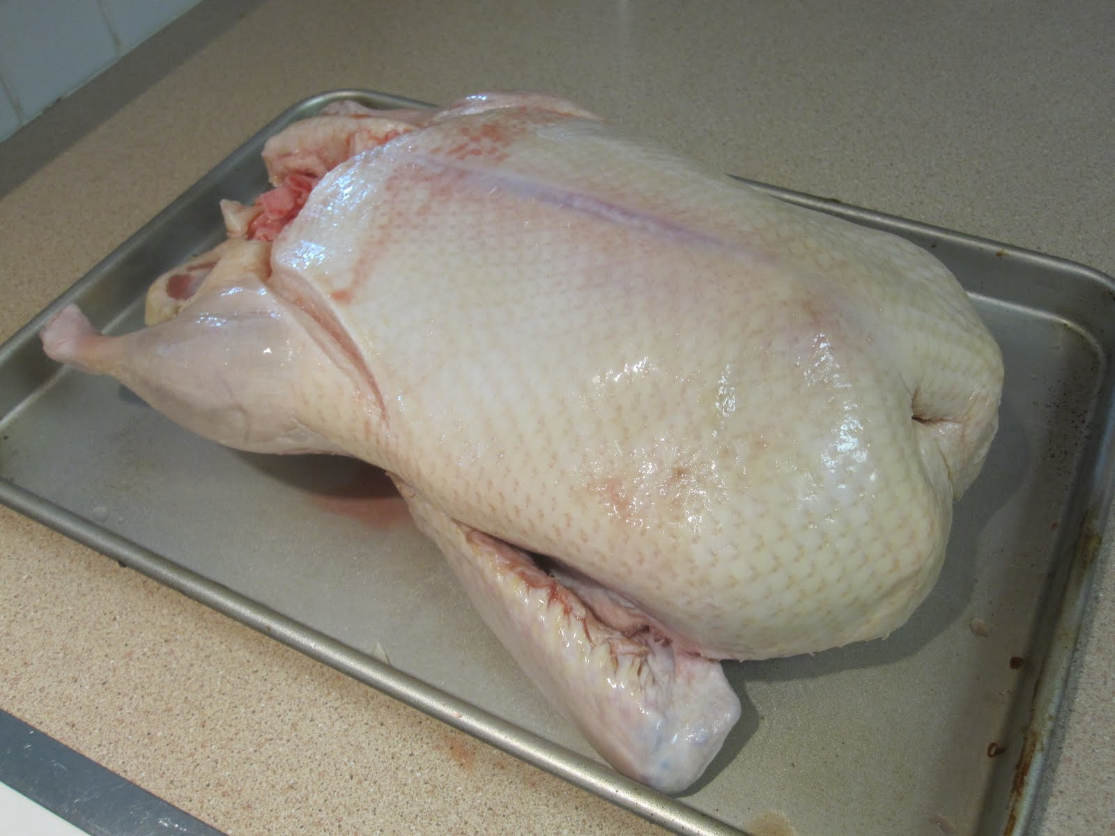 Cannundrums Infrared Cooked Muscovy Duck