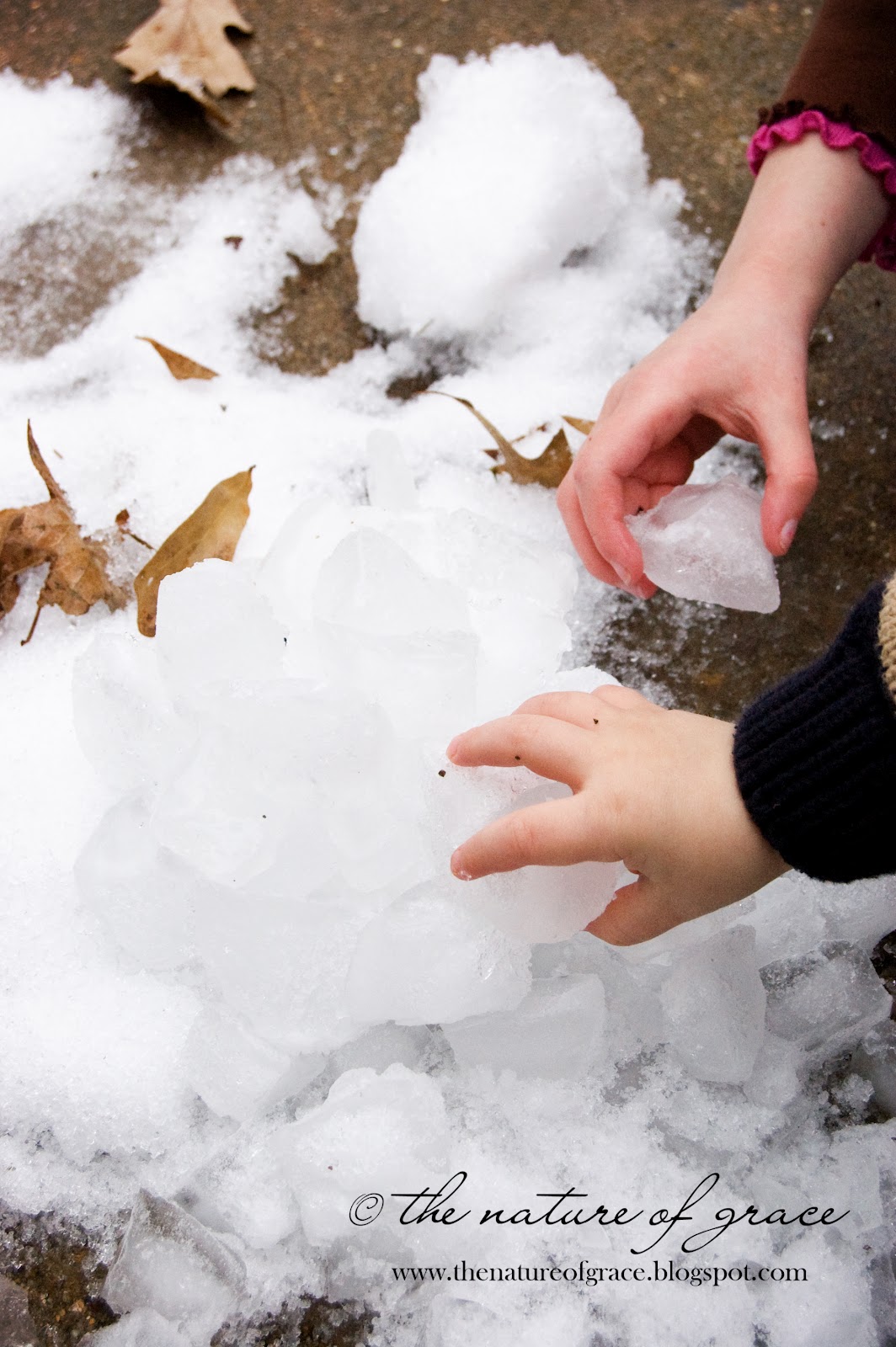 The Nature of Grace Homeschool Theme of the Week(s) Winter!