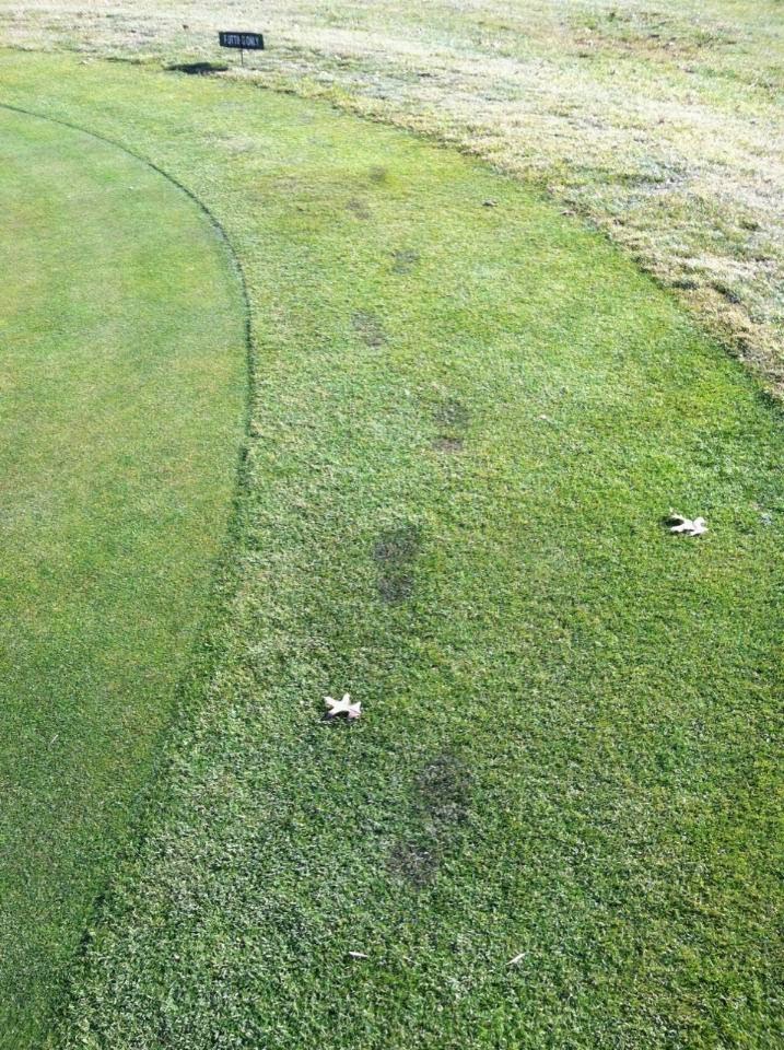 Minor Park Golf Course Maintenance Frost Delays