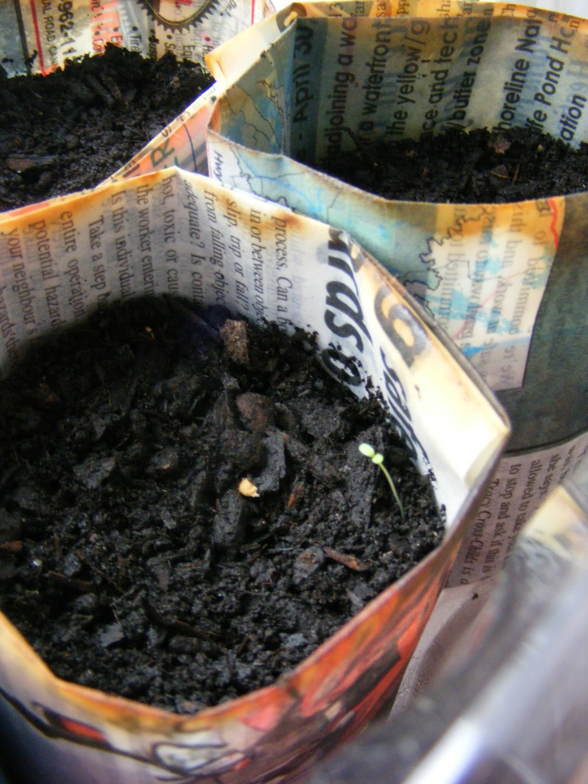 Newspaper Seed Starting Pots The Complete Guide to Imperfect Homemaking