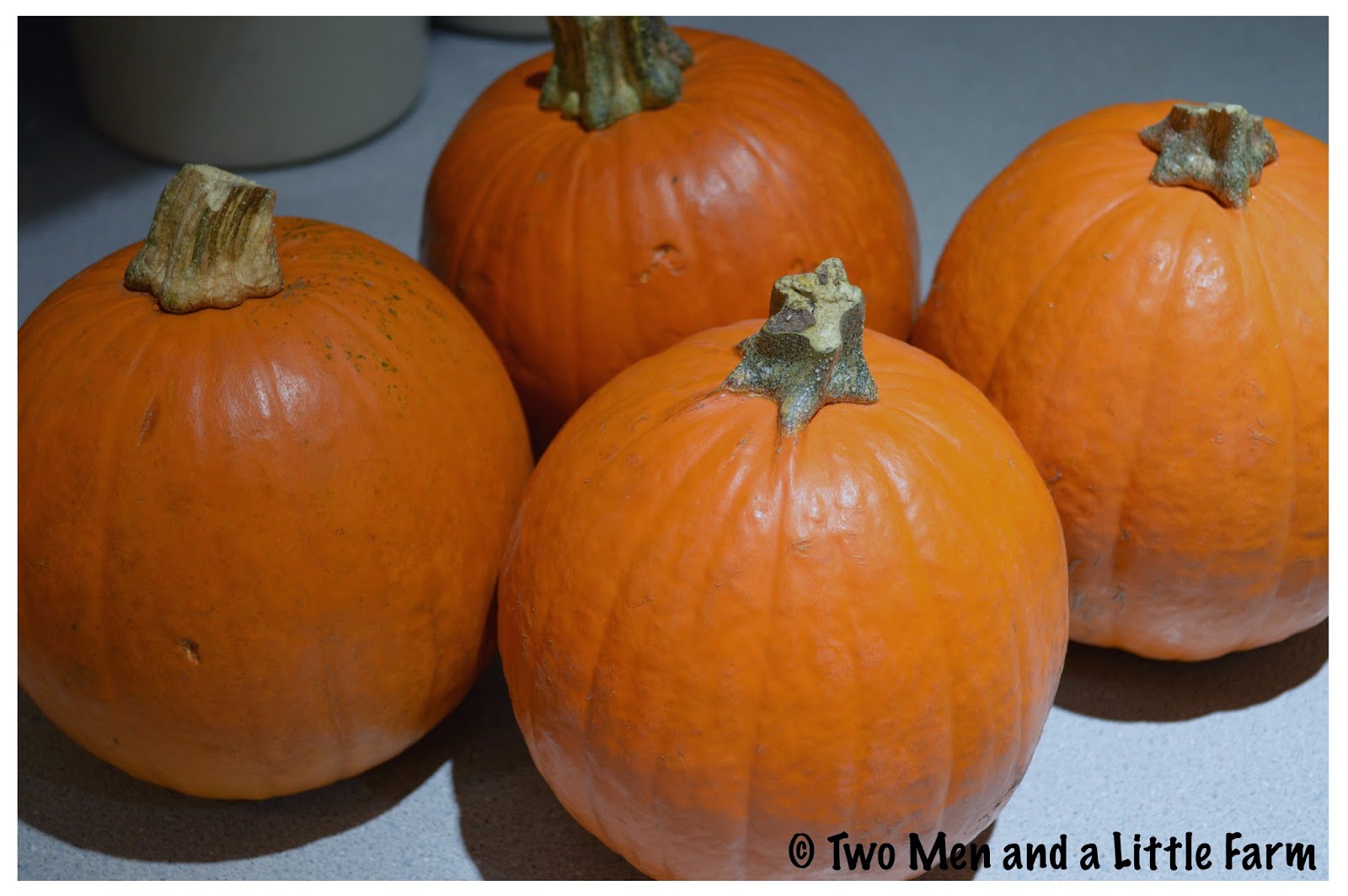 Two Men and a Little Farm HOW TO ROAST SUGAR PUMPKINS