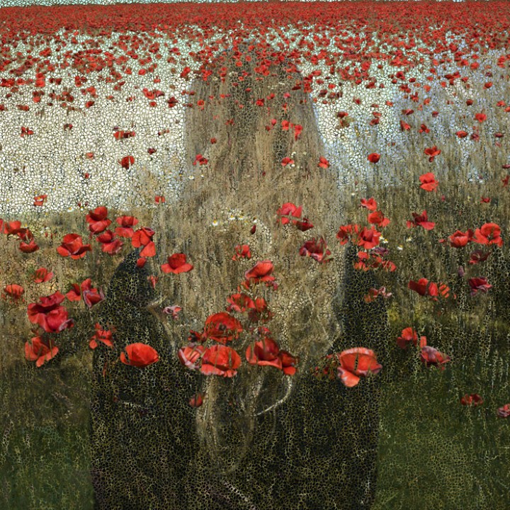 Helen Sear