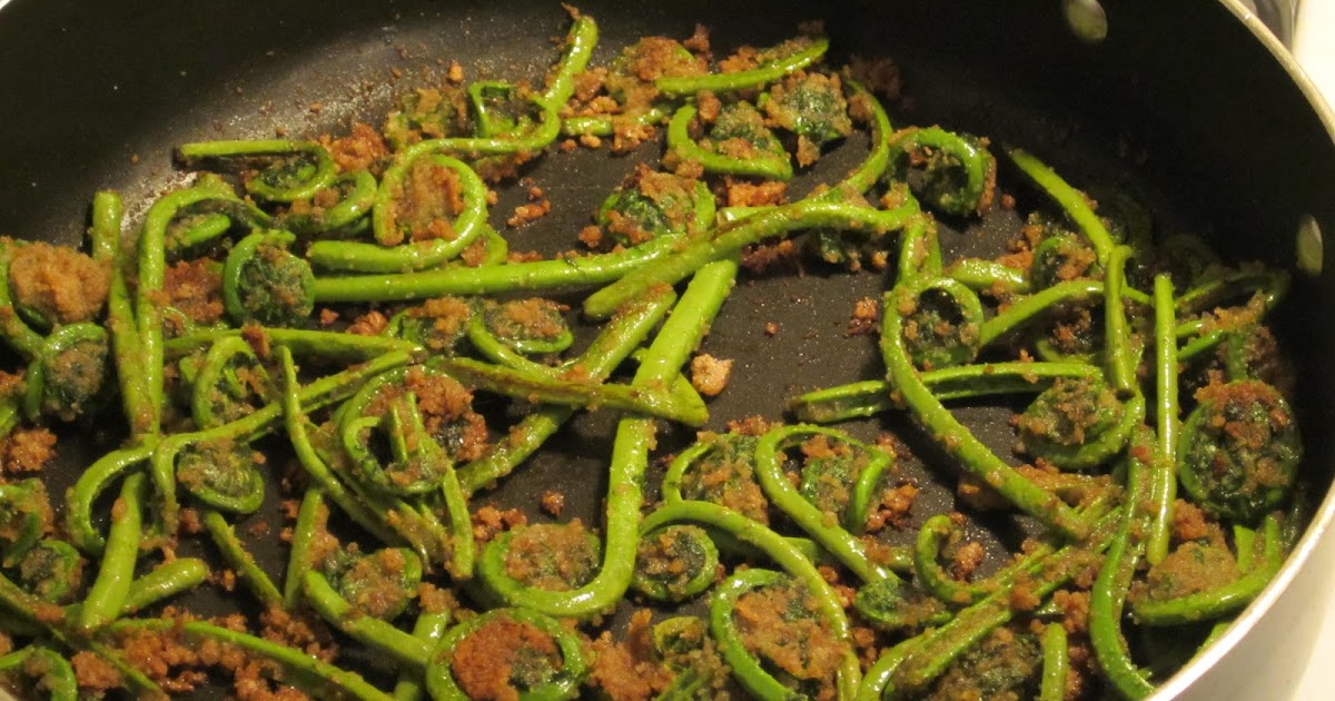 The Foraging Family: Ostrich Fern Fiddlehead Recipe