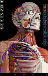 Download Essential Anatomy 3 v1.1.2 Apk