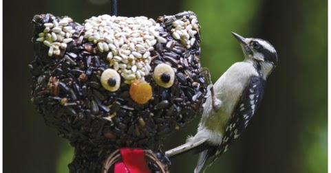 wild birds unlimited cool bird feeders wild birds unlimited cool bird feeders