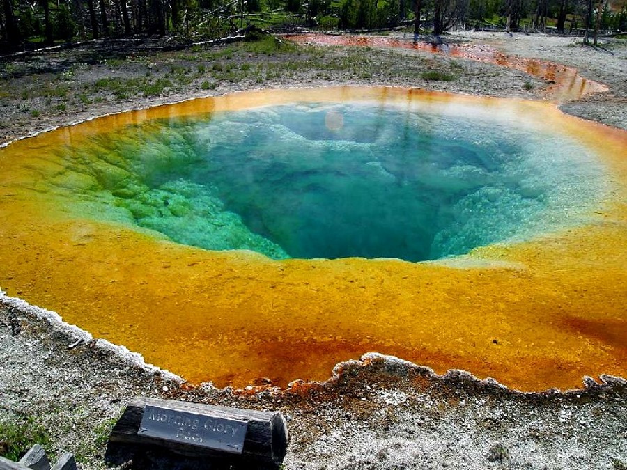 Morning Glory Pool (Hot Spring), Yellowstone National Park, USA Great