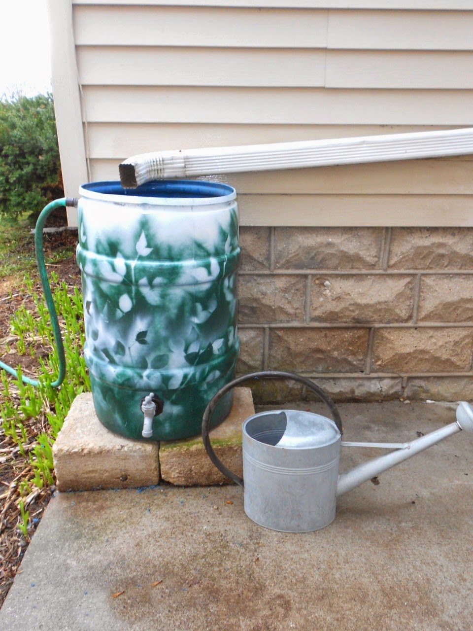 RVing The USA is our BIG Backyard Rainbarrels and Coleus