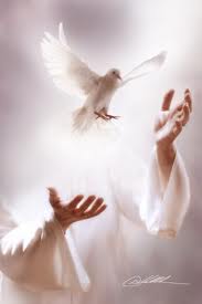 http://4.bp.blogspot.com/-T2hf3vOpGRI/UeuBzvNsGXI/AAAAAAAABas/WiSWsO9TRcQ/s1600/imagesCA14RFKC.jpg