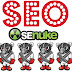 Senuke Blast Service for Site & Get Fast Ranking In Google First Page