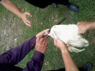 Kursus Sembelihan Halal
