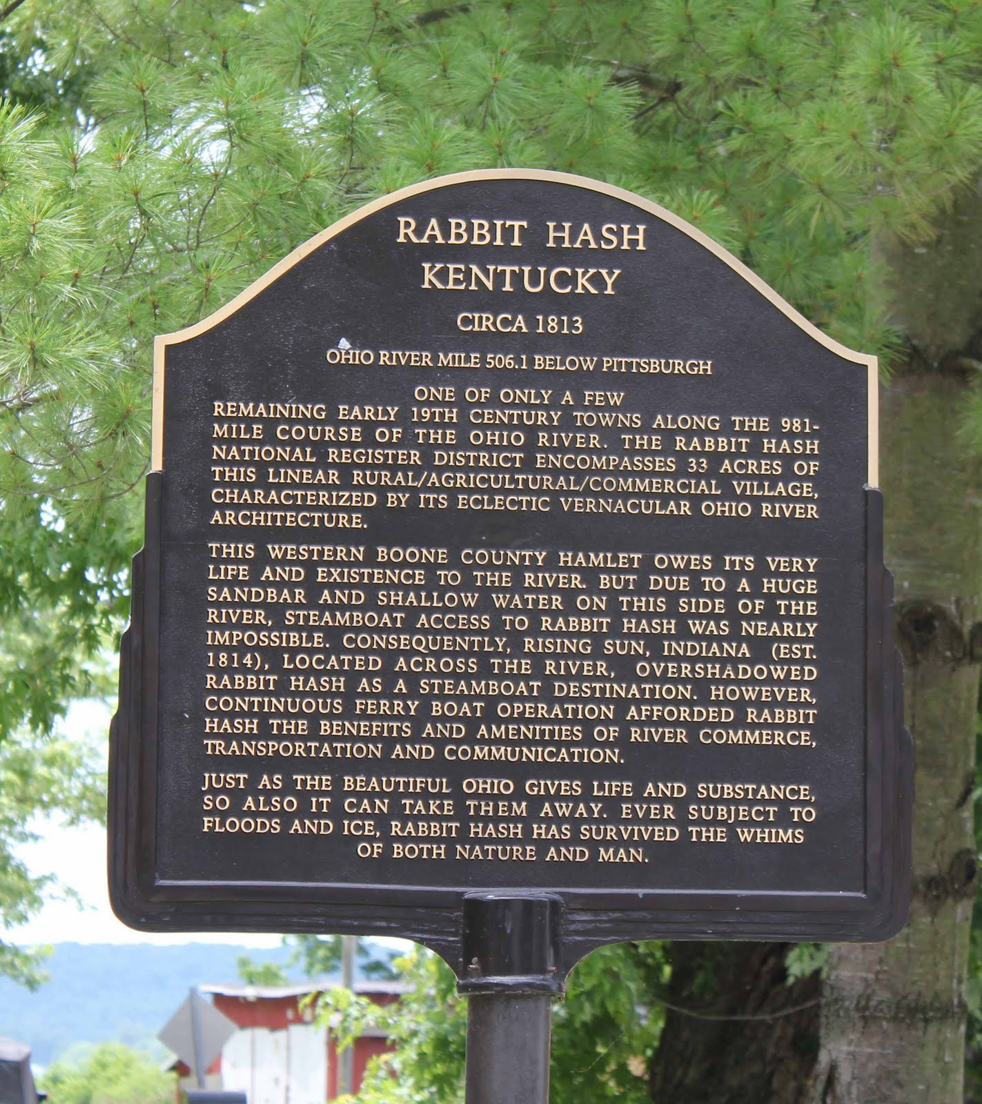 Adventures in Homeschooling Rabbit Hash Kentucky June 25th