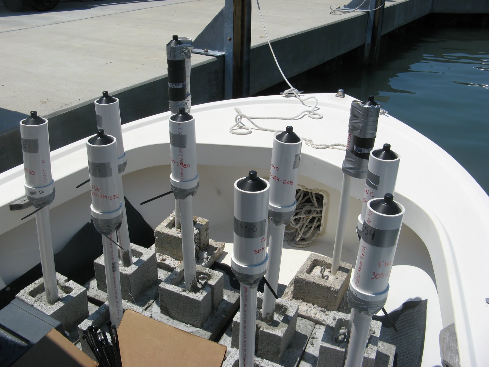 childress lab field research