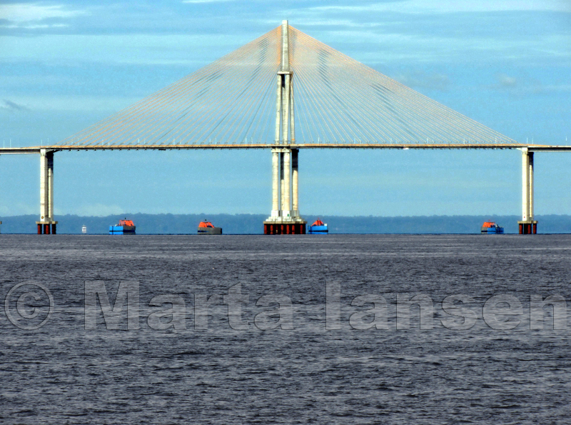 Ponte Rio Negro sob o sol da manhã - 1 (© Marta Iansen).