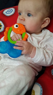 Brighton Mumma parent blog baby update Brighton Mumma parent blog baby update