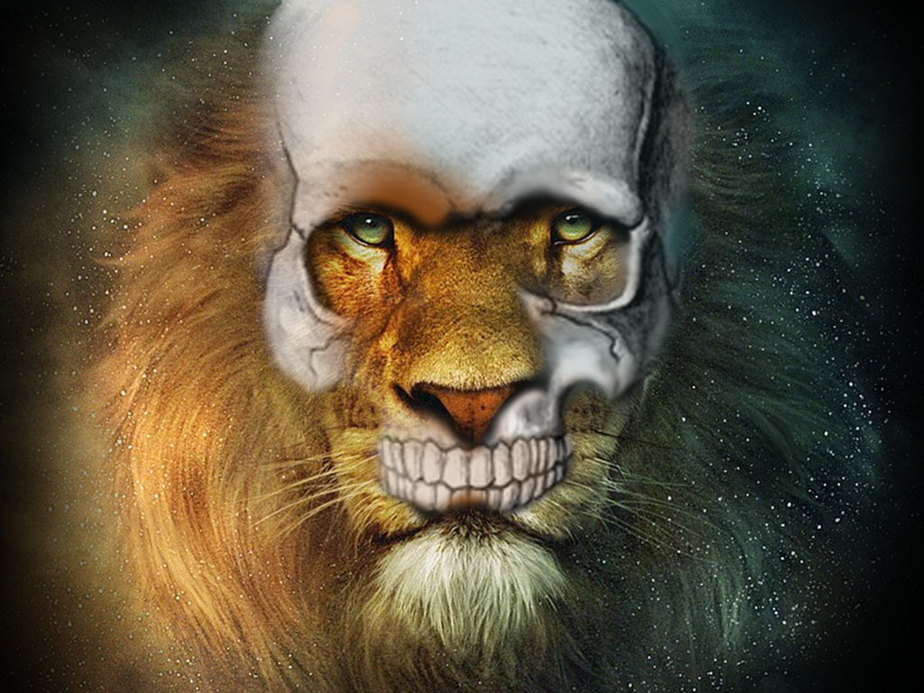 http://4.bp.blogspot.com/-T3sm1VpzBHc/TnixSWf9C-I/AAAAAAAAASo/491TyYc7uWM/s1600/lion+skull+wallpaper.jpg